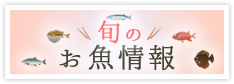 旬のお魚情報